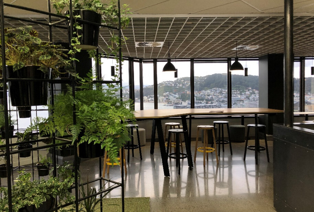 Michelle having lunch at the office overlooking the beautiful view of Wellington harbour