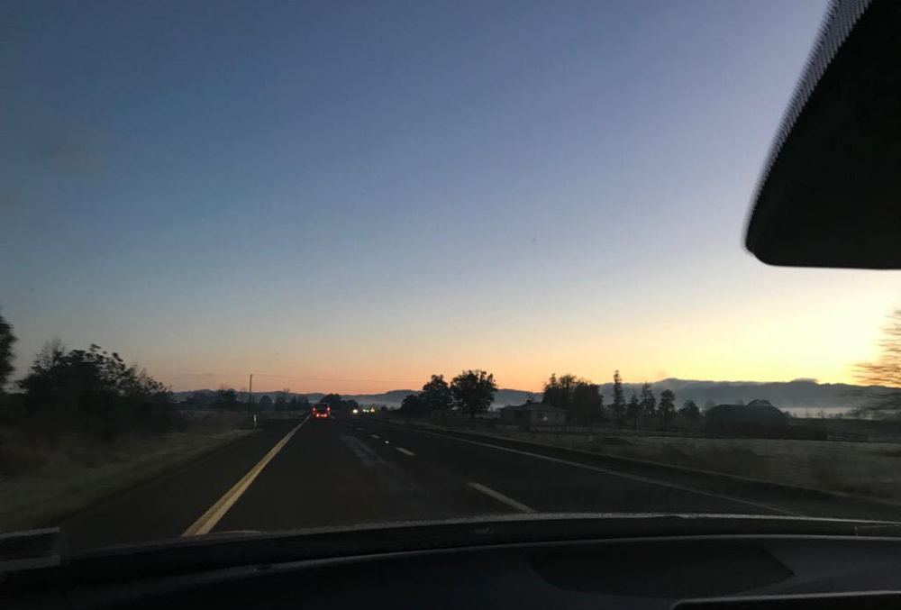 Anna Callinicos driving to work with colleague