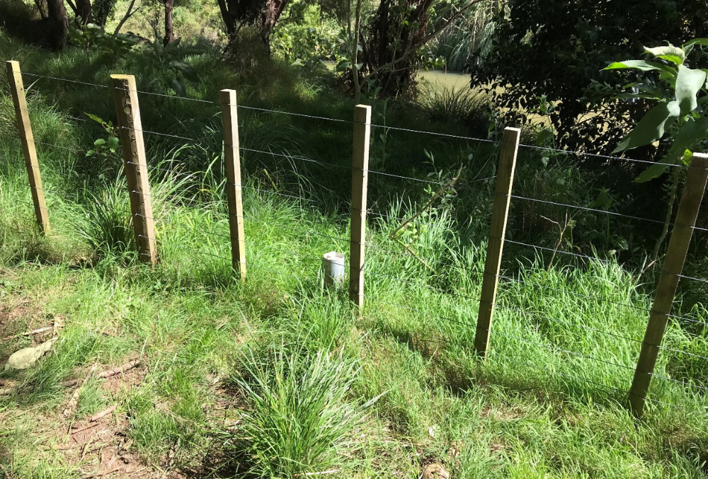 Anna hunting for groundwater monitoring well