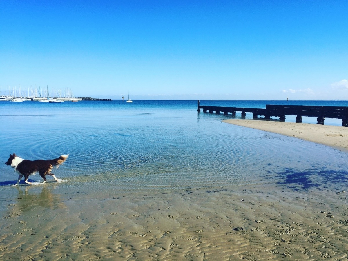 Day-in-a-life-JohnStaff-Joe-Fisscher-beside-the-beach