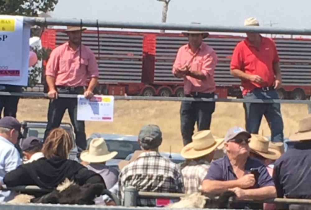 Rural Bank Joe Boyle attending a cattle event