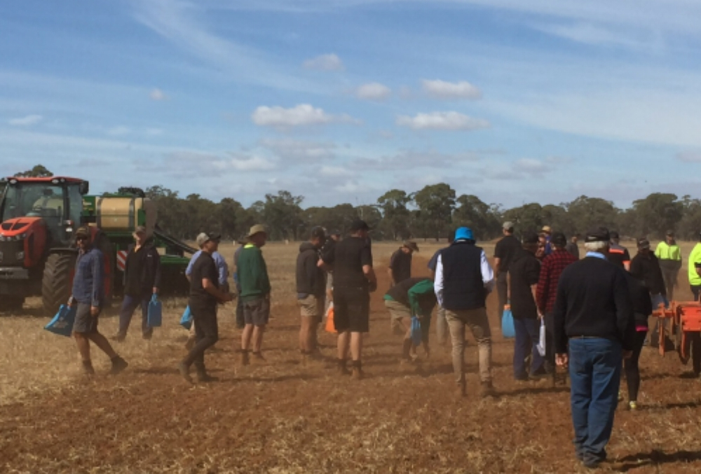 Rural Bank Kirk Downie field trip